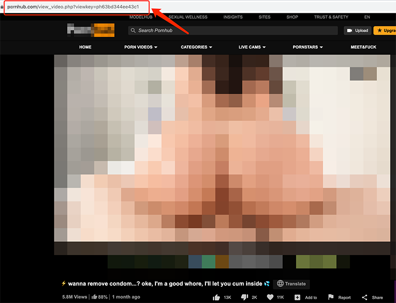 how to use saveporn pro pornhub downloader step 1